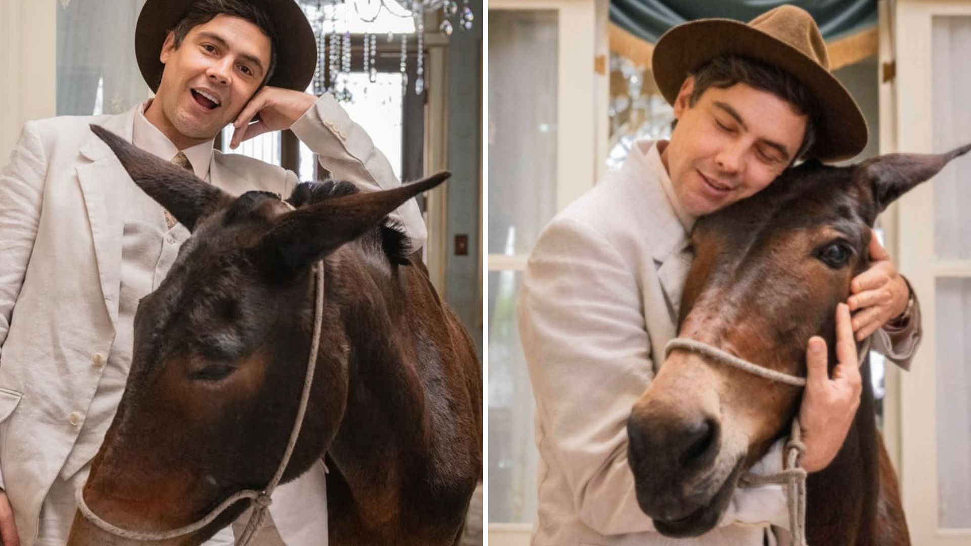 Sergio Guizé comenta detalhe curioso sobre burro Policarpo de ‘Êta Mundo Melhor’