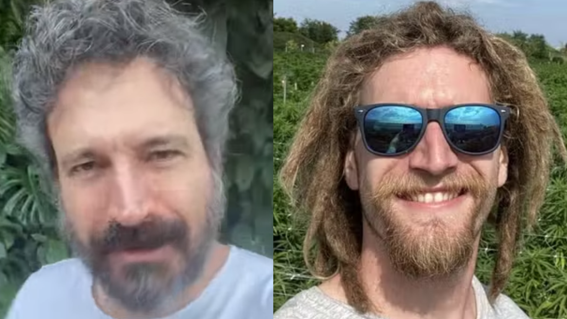Olha ele! Filho do ator Caco Ciocler trabalha com cultivo de maconha