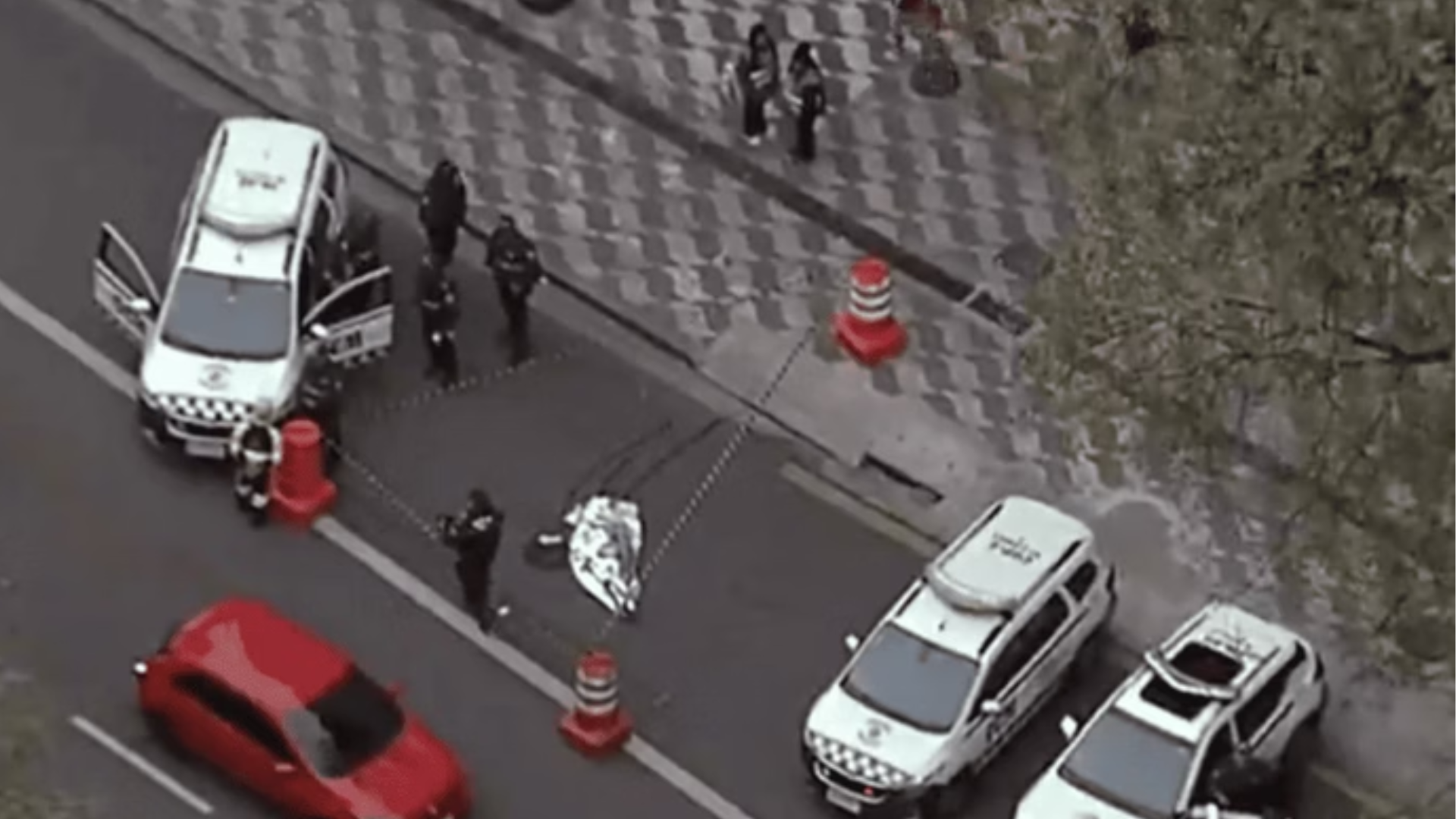 Homem é morto após ameaçar matar cachorros no centro de São Paulo