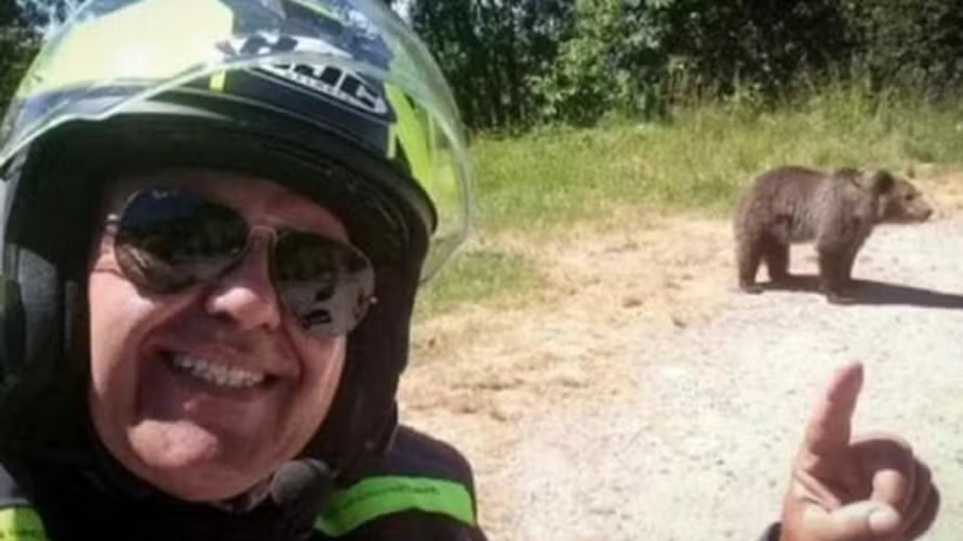 Motociclista é morto por ursa após tirar selfie com animal em famosa estrada da Romênia