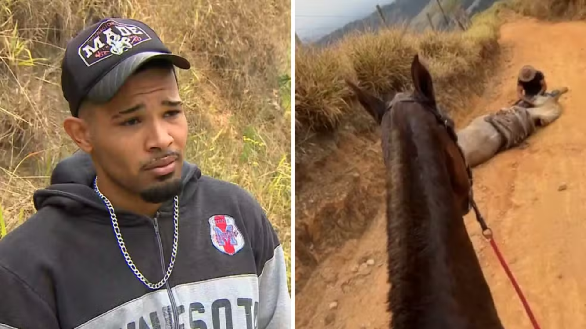 ‘Cortei por cortar’, diz homem que mutilou patas de cavalo no interior de São Paulo