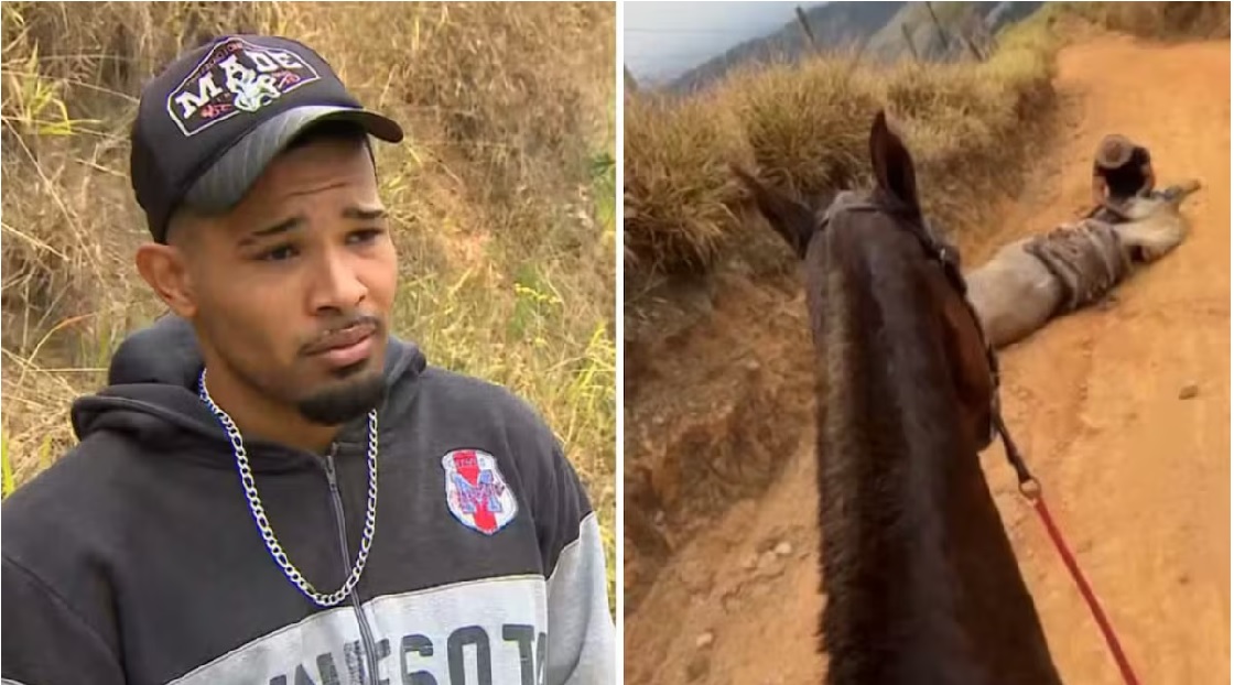 Veja quem é o jovem de 21 anos que cortou patas de cavalo e gerou indignação