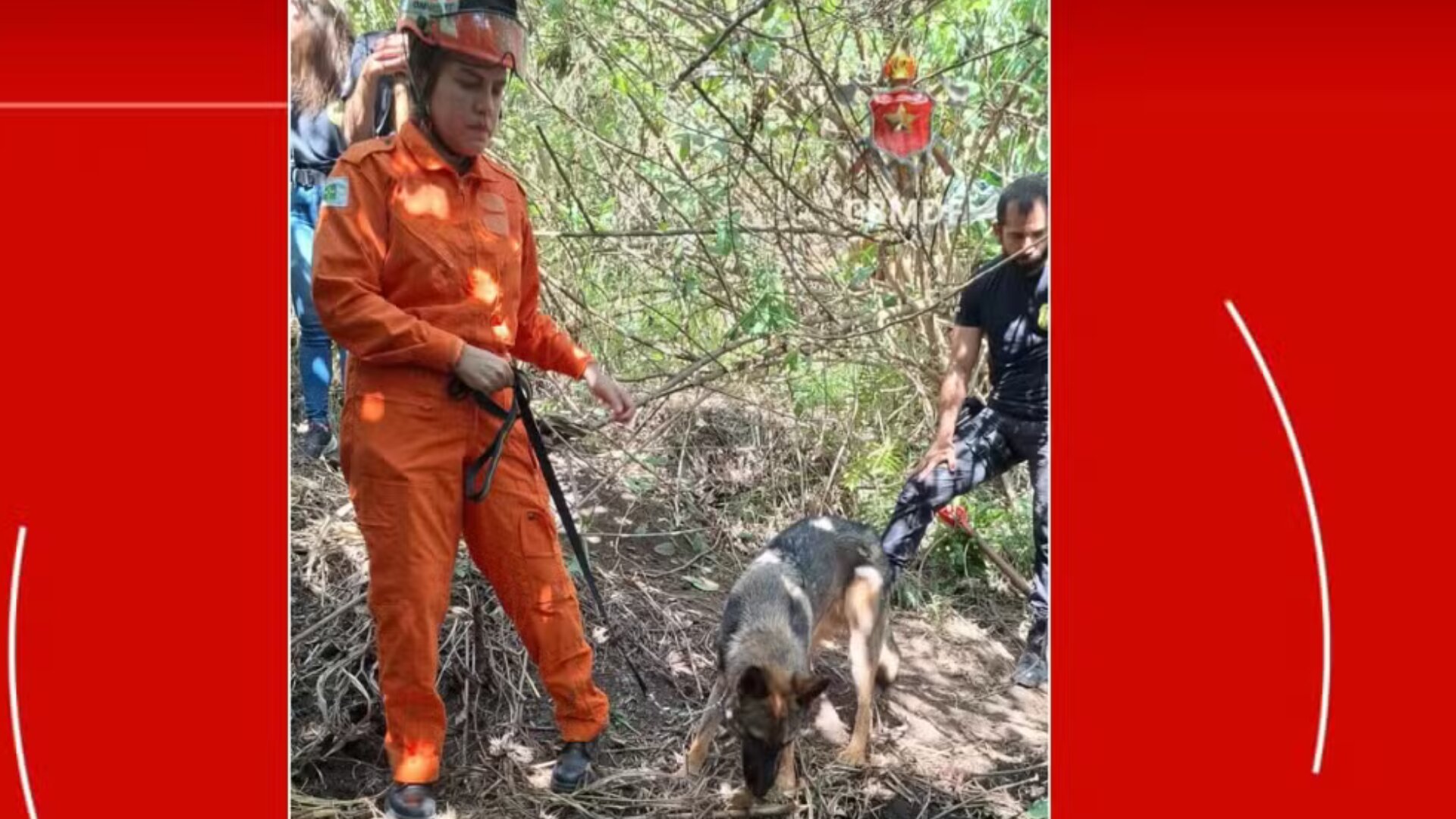 Corpo de mulher é encontrado enterrado em ‘curral’ no DF