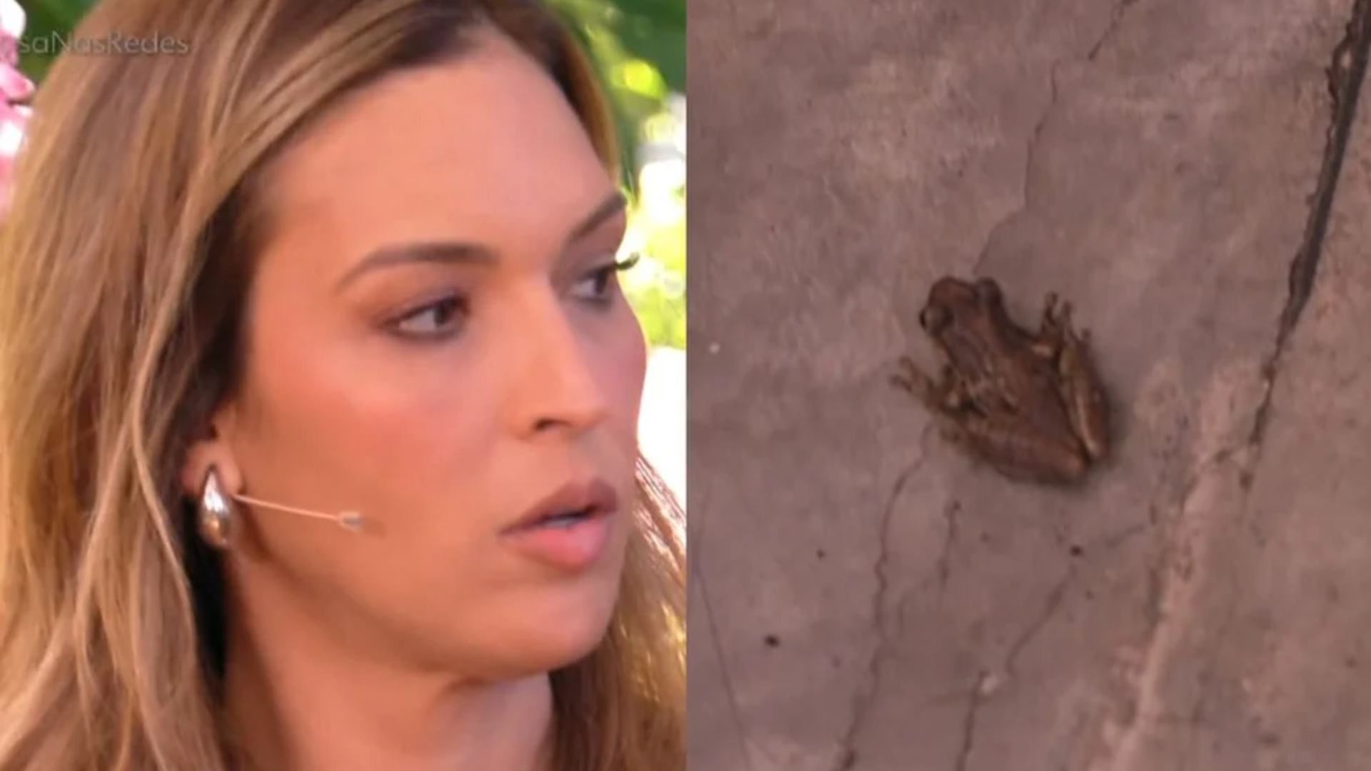 Thalitha Morete se desespera ao ver animal no É de Casa: ‘Perereca’