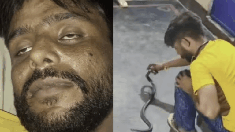 Homem morre após tentar capturar cobra venenosa na casa de vizinho por R$ 35
