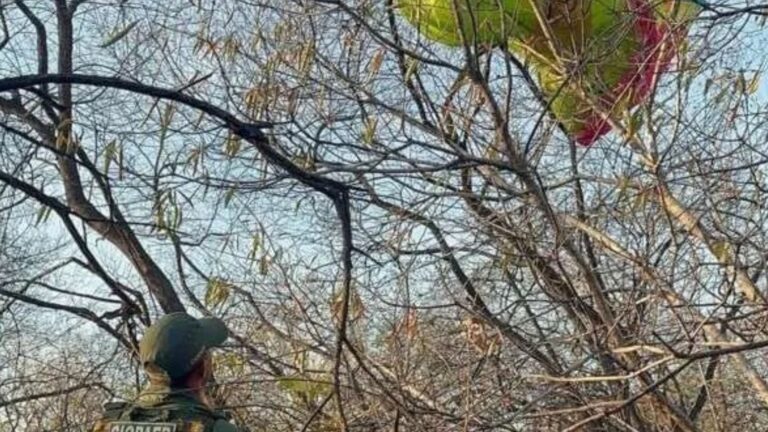 Mulher desaparece em voo e é encontrada em área de mata no Ceará