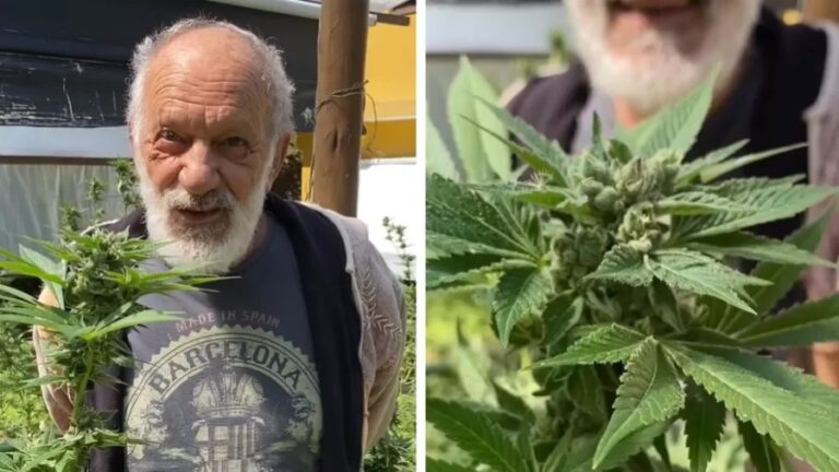 Ex ator da Globo choca web ao mostrar plantação de maconha: ‘Meu Deus’