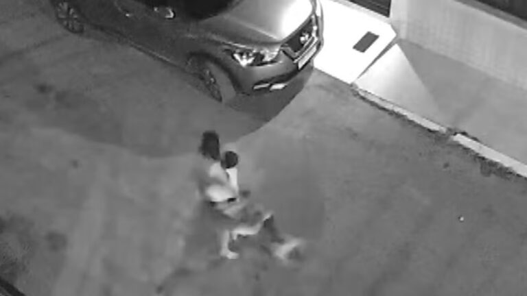 Criança com autismo é atacada por pitbull; vídeo choca a internet