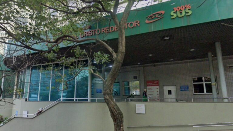 Idosa é atacada por 7 rottweilers; saiba o estado de saúde da vítima