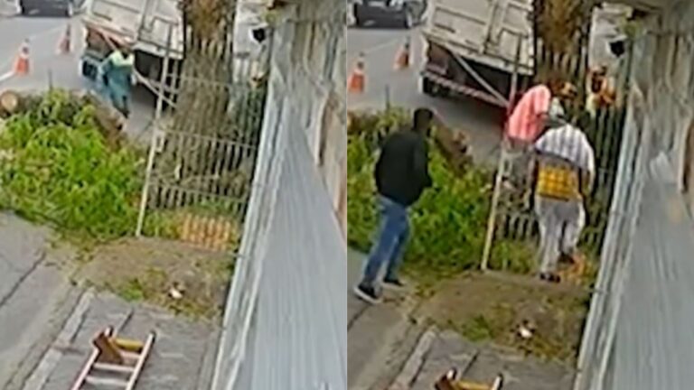 Vídeo chocante! Homem morre esmagado por tronco de árvore