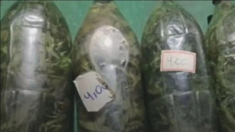 Cachaça com maconha é apreendida durante operação contra bebidas adulteradas