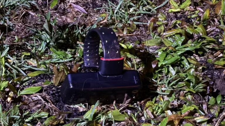 Homem rompe tornozeleira, mata mulher e fere três após briga em lanchonete