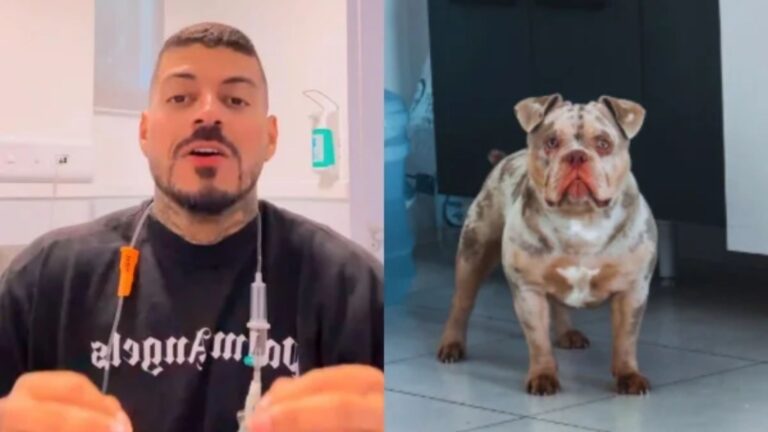 Influenciador reage aos pedidos de eutanásia após ter dedo comido por cão; veja