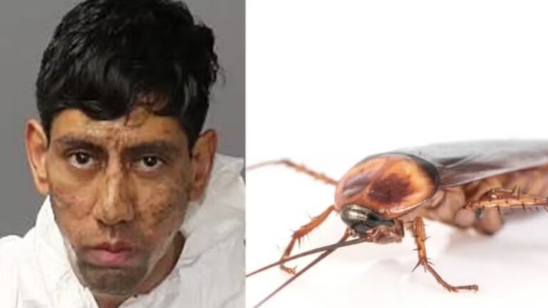 Homem afirma ter recebido ordens de uma barata antes de cometer homicídios