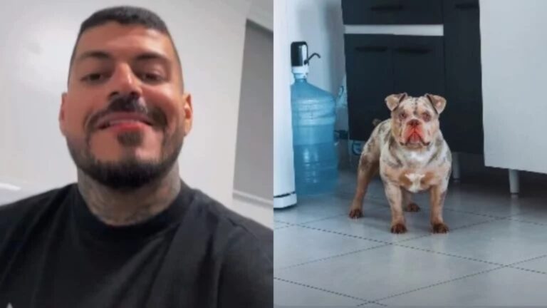 Influenciador que teve dedo comido por cachorro enquanto dormia faz revelações; veja