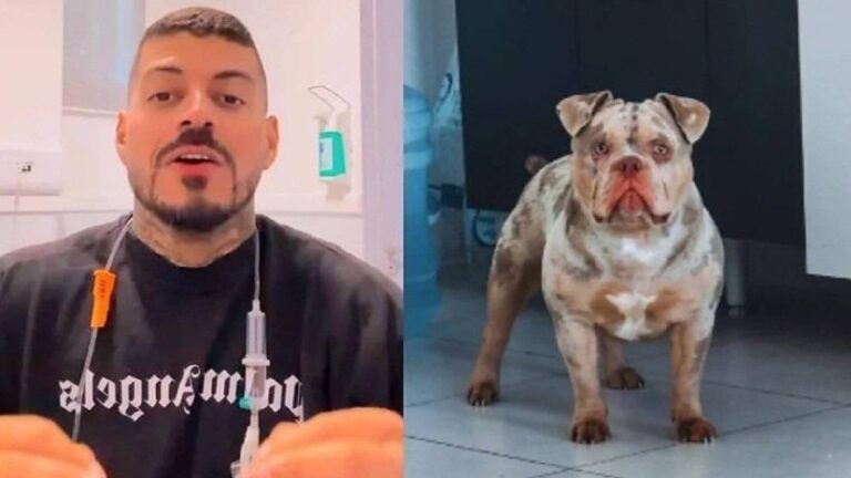 Influenciador perde dedo do pé enquanto dormia e descobre que cachorro comeu membro
