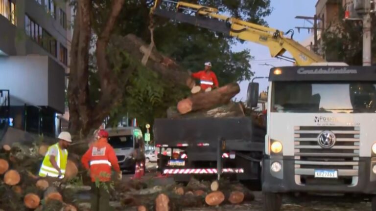 Ciclone? São Paulo deve sofrer nova ventania e tempestades; saiba quando