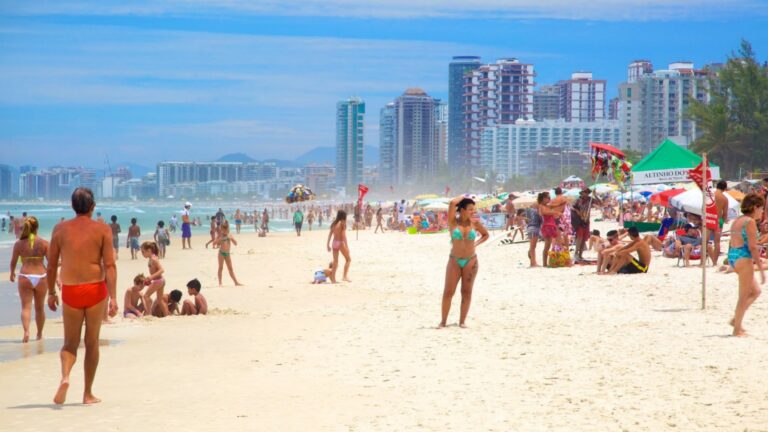 Órgãos achados na areia da Praia da Barra passam por perícia; investigação segue