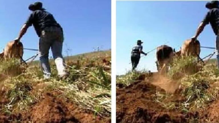 PERIGO! Doença devastadora e pouco conhecida avança no Brasil