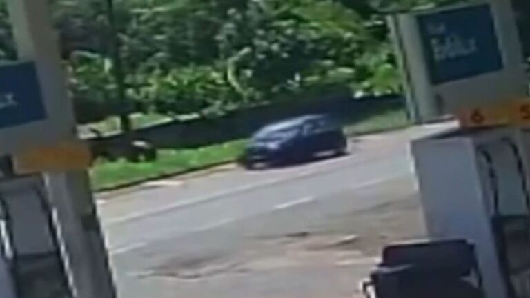 TRAGÉDIA! Criança de 6 anos morre após ser atropelada com a mãe