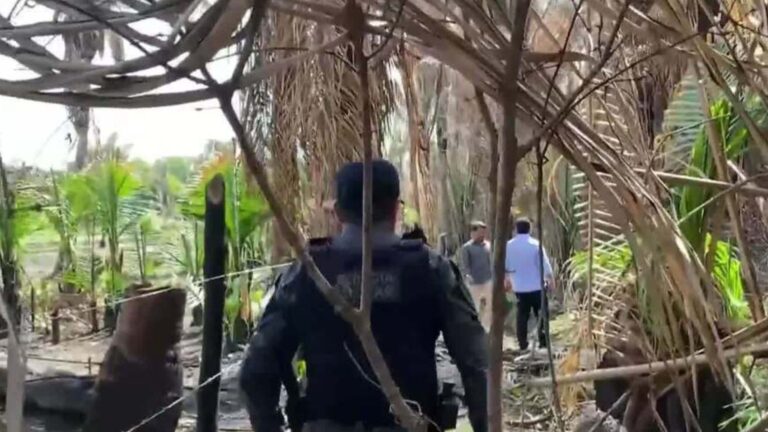 Menino revela como se separou de primos em mata de Bacabal; veja