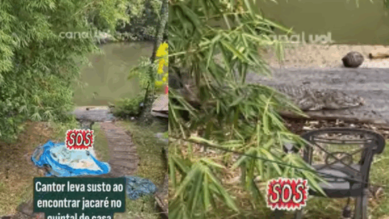 Susto! Cantor se apavora ao encontrar jacaré no quintal de casa: ‘Maior medo’