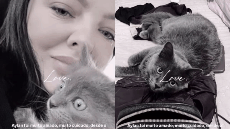 TRAGÉDIA! Cantora sertaneja lamenta morte de gato de estimação após apartamento pegar fogo