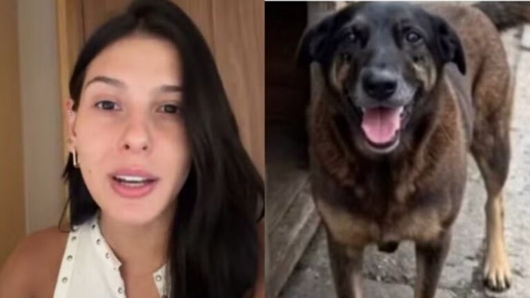 Ana Castela se manifesta após morte do cão Orelha: ‘Coração frio’