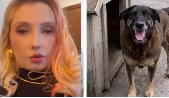 Morte de culpado por tragédia do cão Orelha é prevista por vidente: ‘Vai parar na UTI’