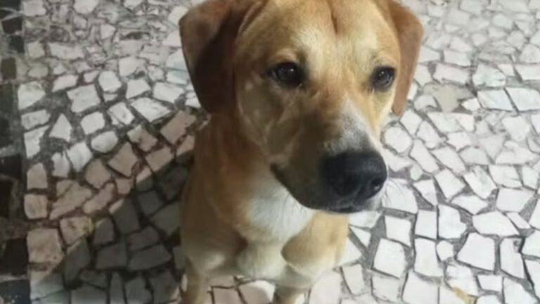 Família de adolescente citado no caso Caramelo vive terror e danos na saúde; veja