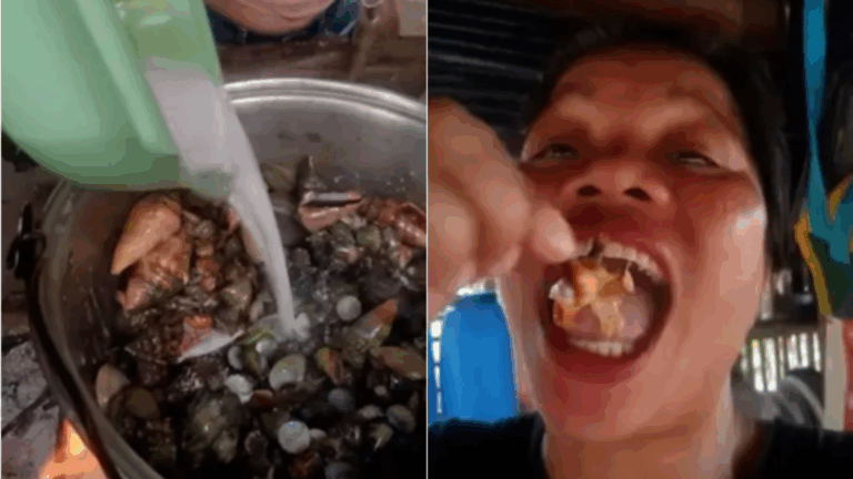 Influenciadora é morta após comer ‘caranguejo do diabo’