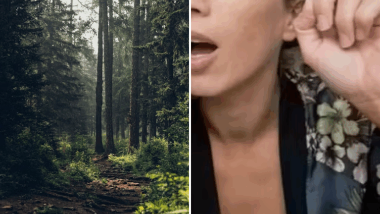 Tragédia! Famosa atriz é encontrada morta em floresta após sair com amiga