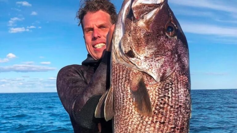 Morre famoso mergulhador após ataque de tubarão; ele deixa duas filhas