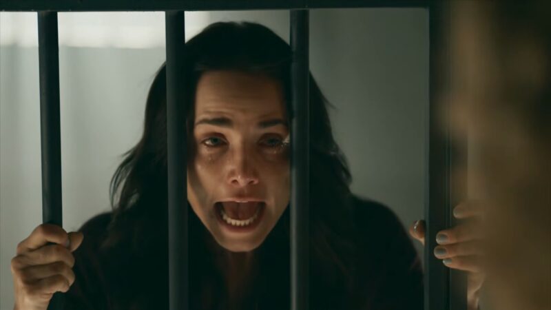 Adriana (Leticia Colin) de Quem Ama Cuida