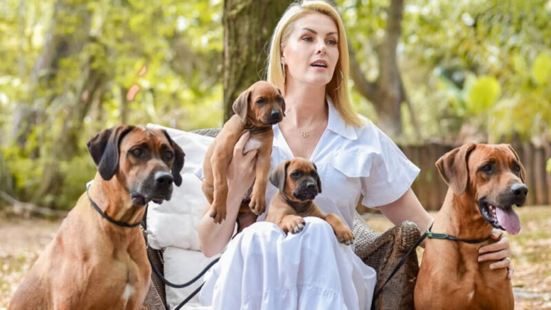 O canil dos sonhos de Ana Hickmann que vai fazer você repensar como cuida do seu cão