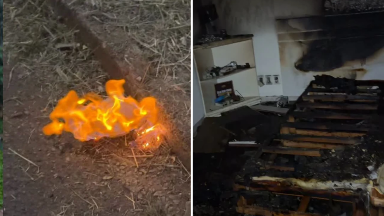 Demoníaco? Esposa de Regis Danese queima Labubu após casa pegar fogo