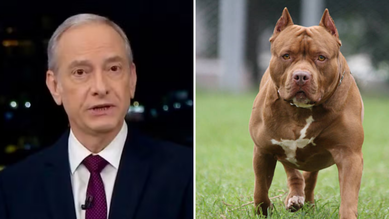 Jornalista da Globo desabafa após ser atacado por pitbull: ‘Dores são nada do que poderia ter sido’