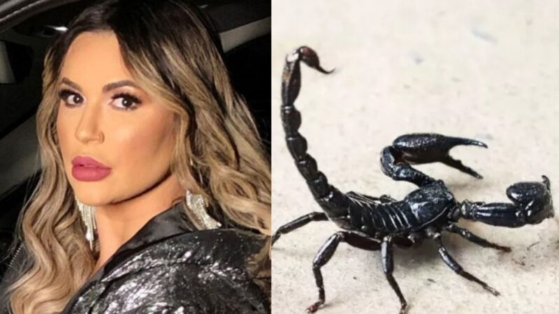 A rotina de Deolane Bezerra na prisão (Divulgação)