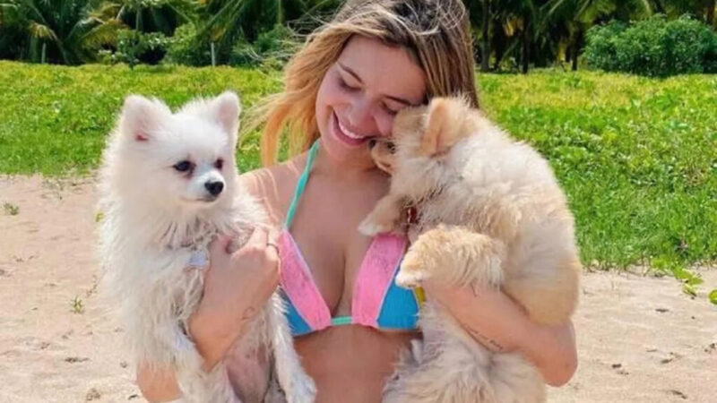 O segredo da mansão de Viih Tube para pets não destruírem tudo na mudança