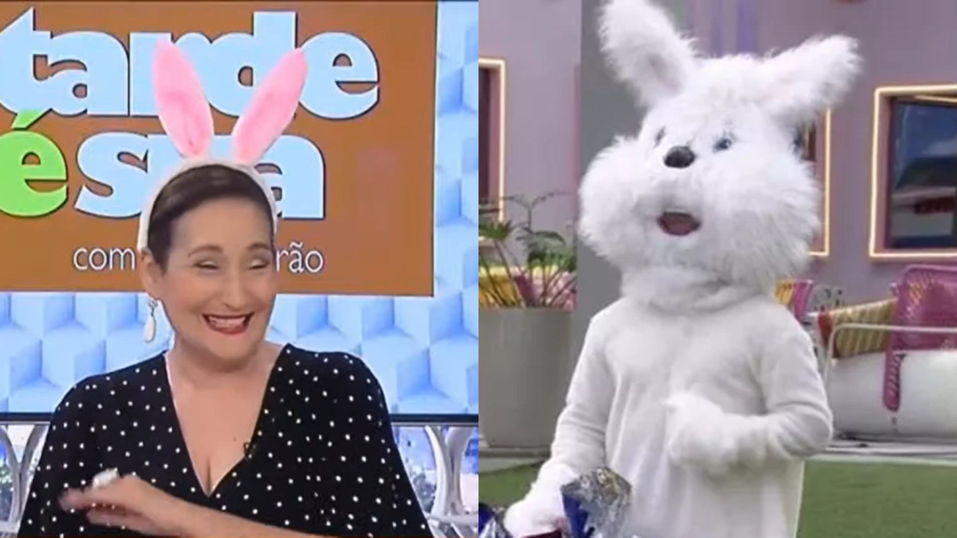 BBB22: Vestida de coelho, Sonia Abrão celebra volta de Arthur Aguiar: “Um tombo”