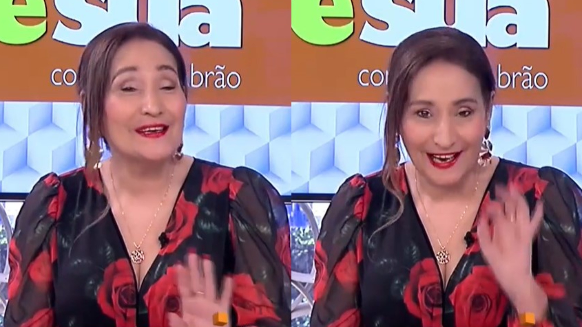 BBB22: Sonia Abrão pede brother campeão: “Carregou nas costas esse programa”