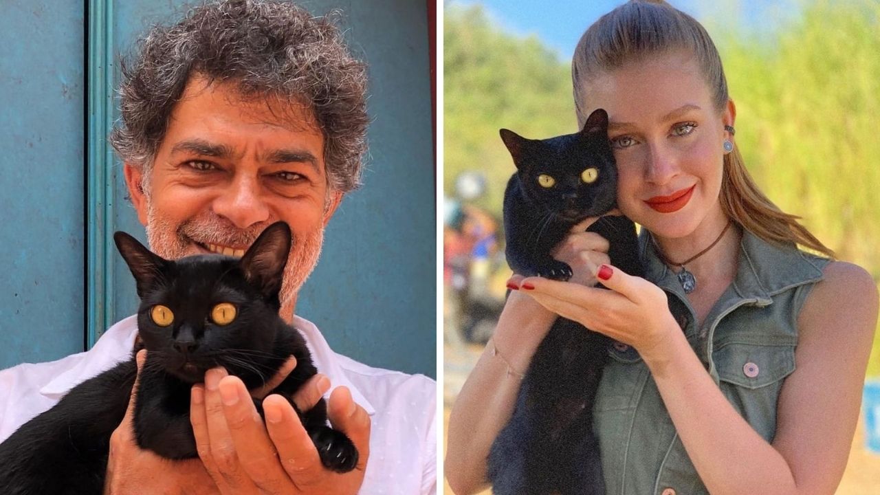 Lembra dele? Gato de ‘O Sétimo Guardião’ “fecha” contrato e entra para elenco da fase final do ‘Gênesis’