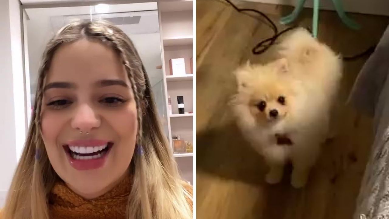 Mãe de pet! Ex-BBB Viih Tube mostra closet chiquérrimo dos seus cachorros: “Eu mimo demais”