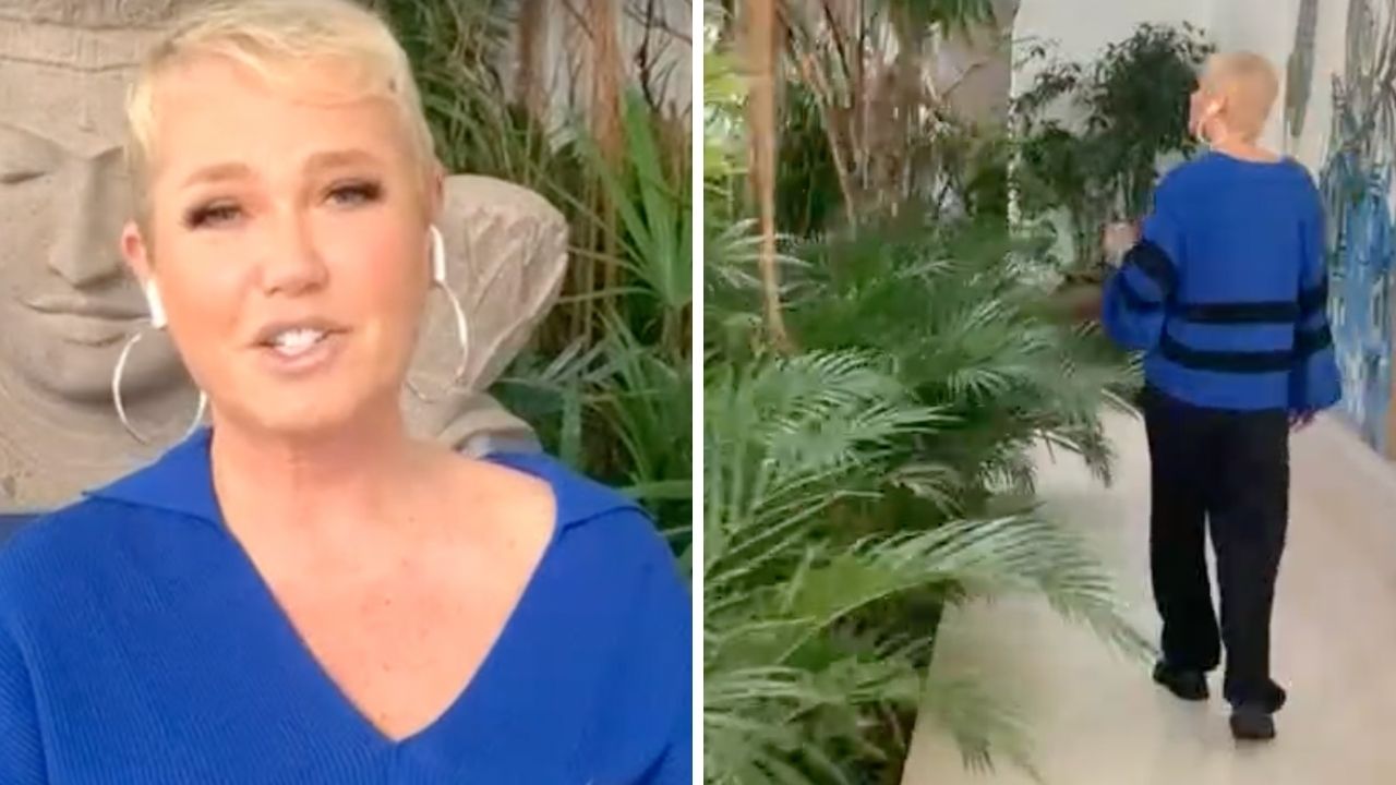 Na Globo, Xuxa Meneghel mostra floresta para pássaros na sala de sua mansão: “Sonho de consumo”