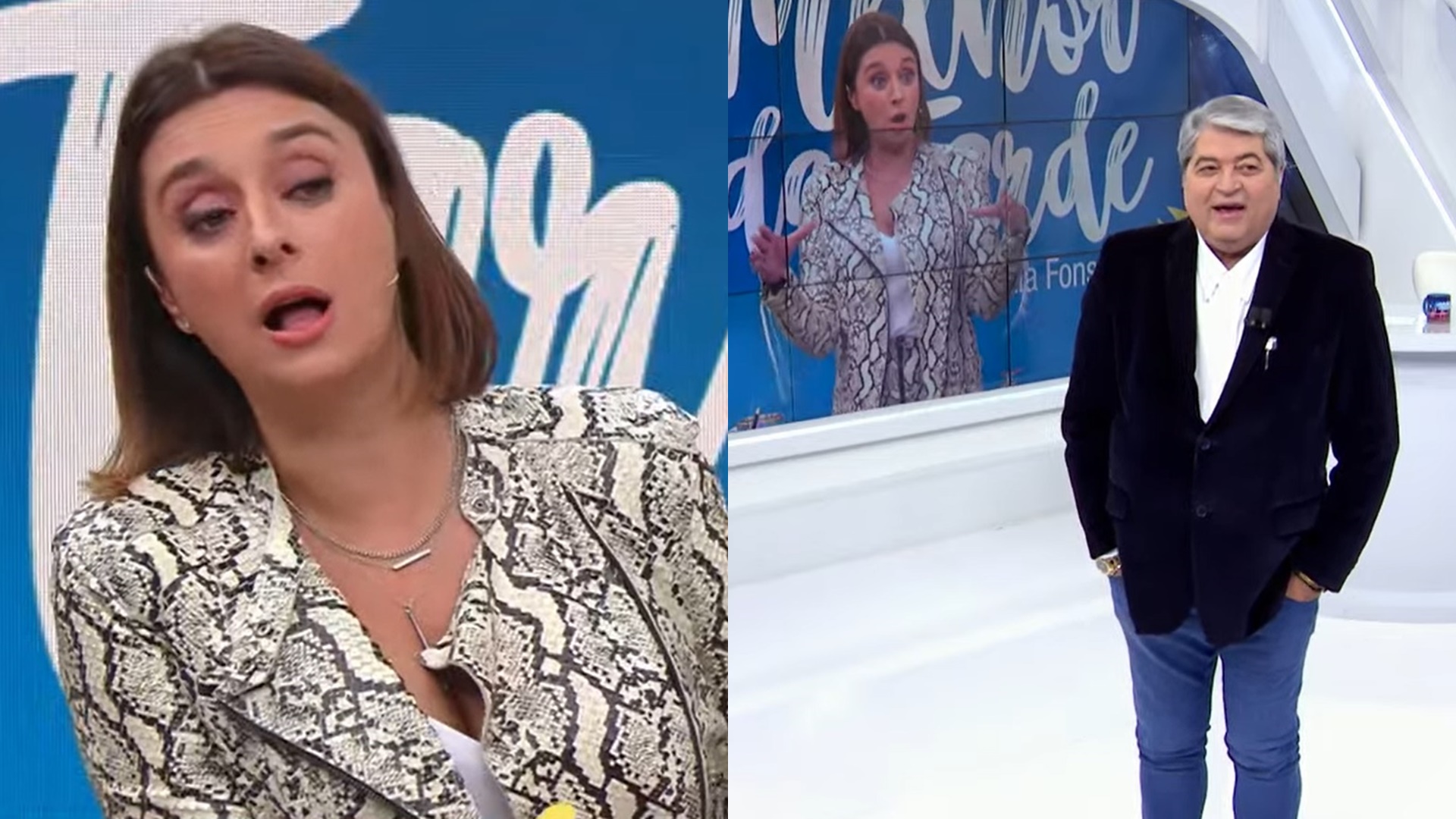Datena e Catia Fonseca interrompem programa para comentar sobre peru: “Tem que ser grande”
