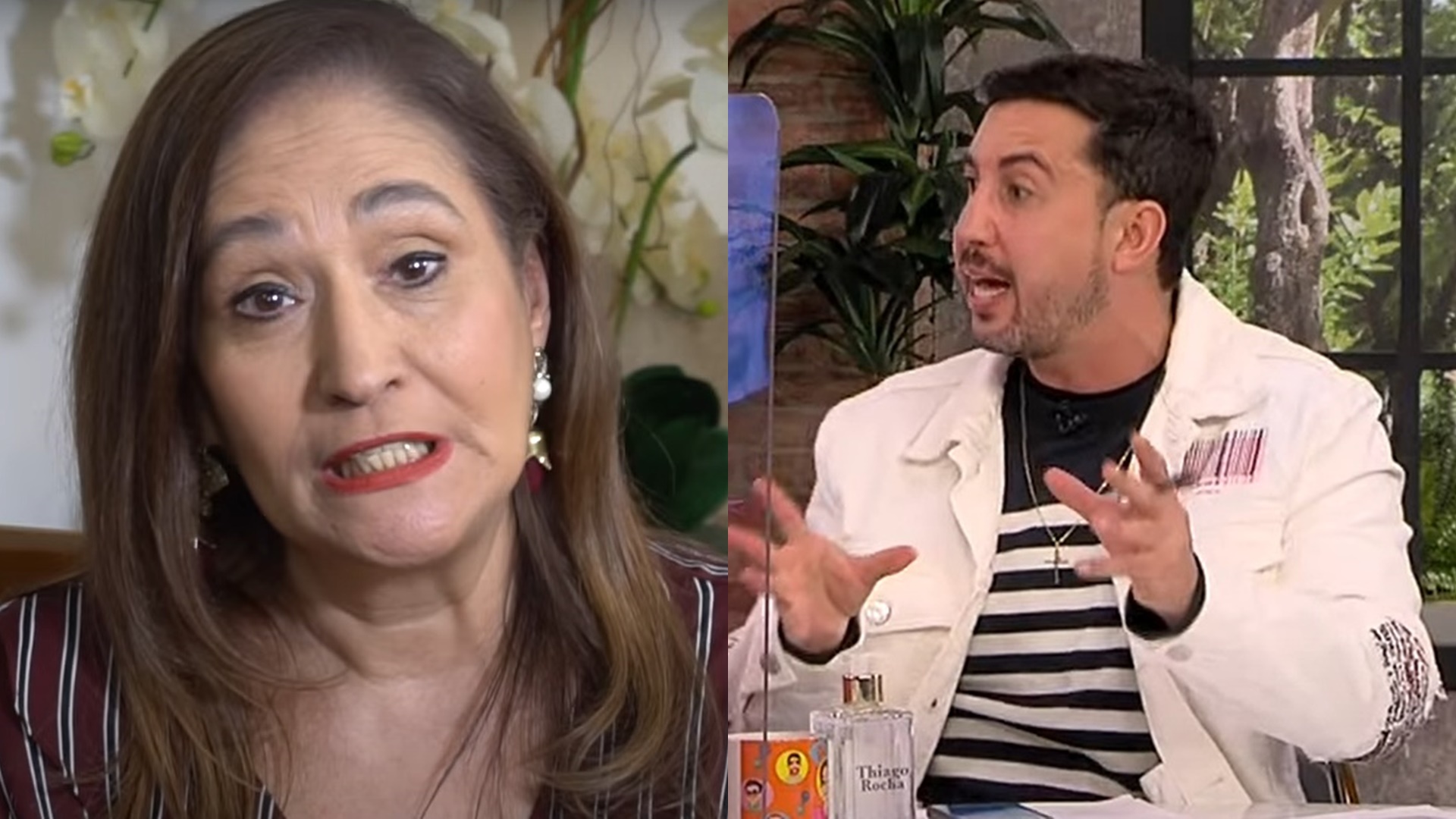 Afastada, Sonia Abrão explode ao assistir programa e ameaça colunistas: “Se eu estivesse aí”