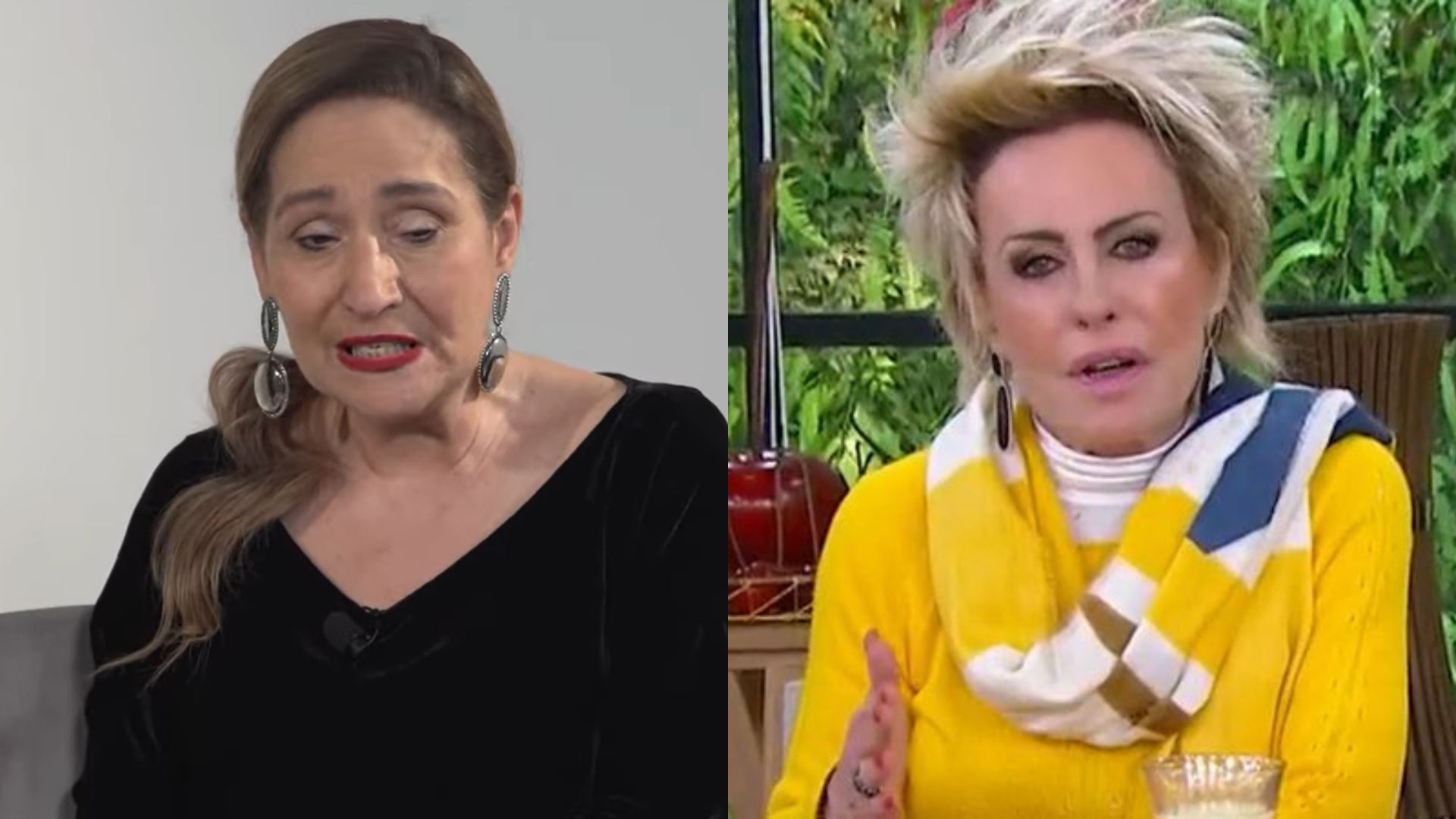 Sonia Abrão não esconde antipatia por Ana Maria Braga e detona: “Mente muito”