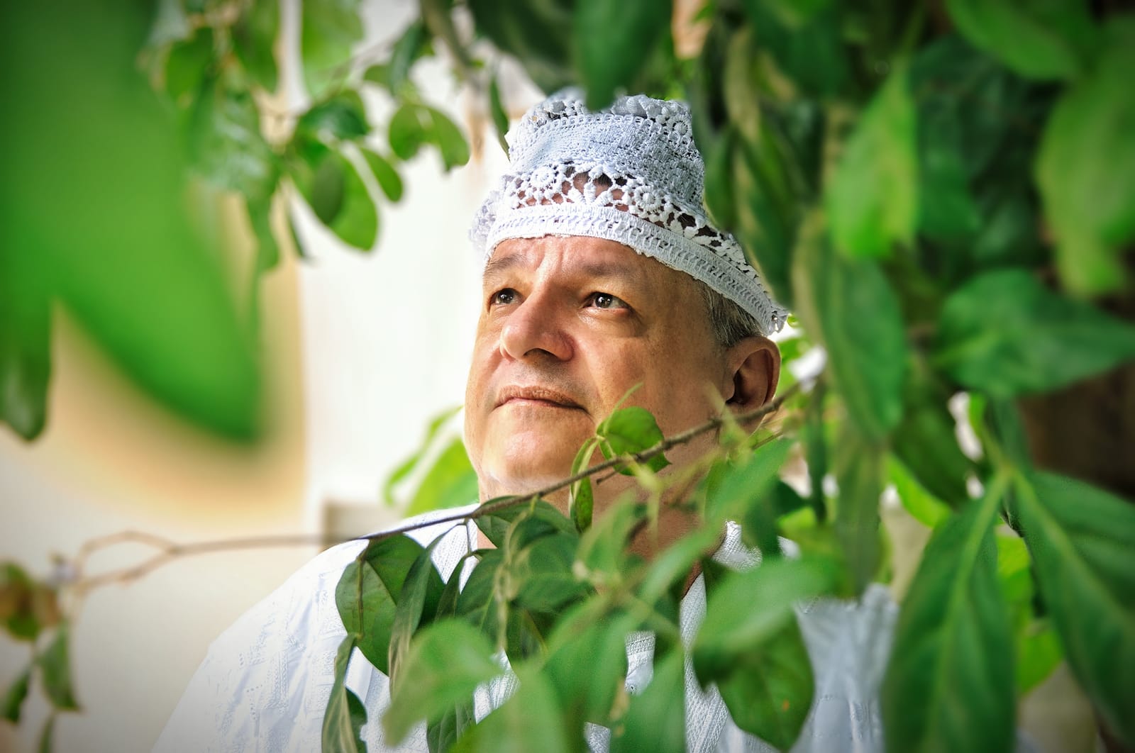 Sucesso e Fama podem ser frutos de alinhamento vibracional