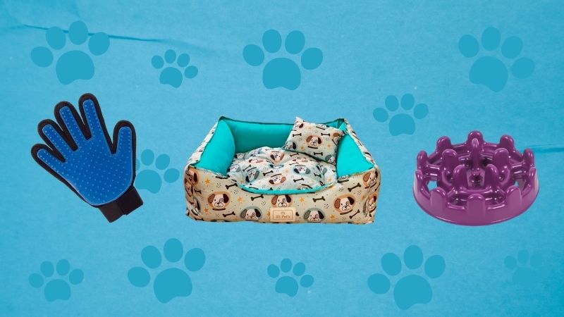 Cama, luva escova, bebedouro e mais: 10 itens essenciais para o seu pet no dia a dia