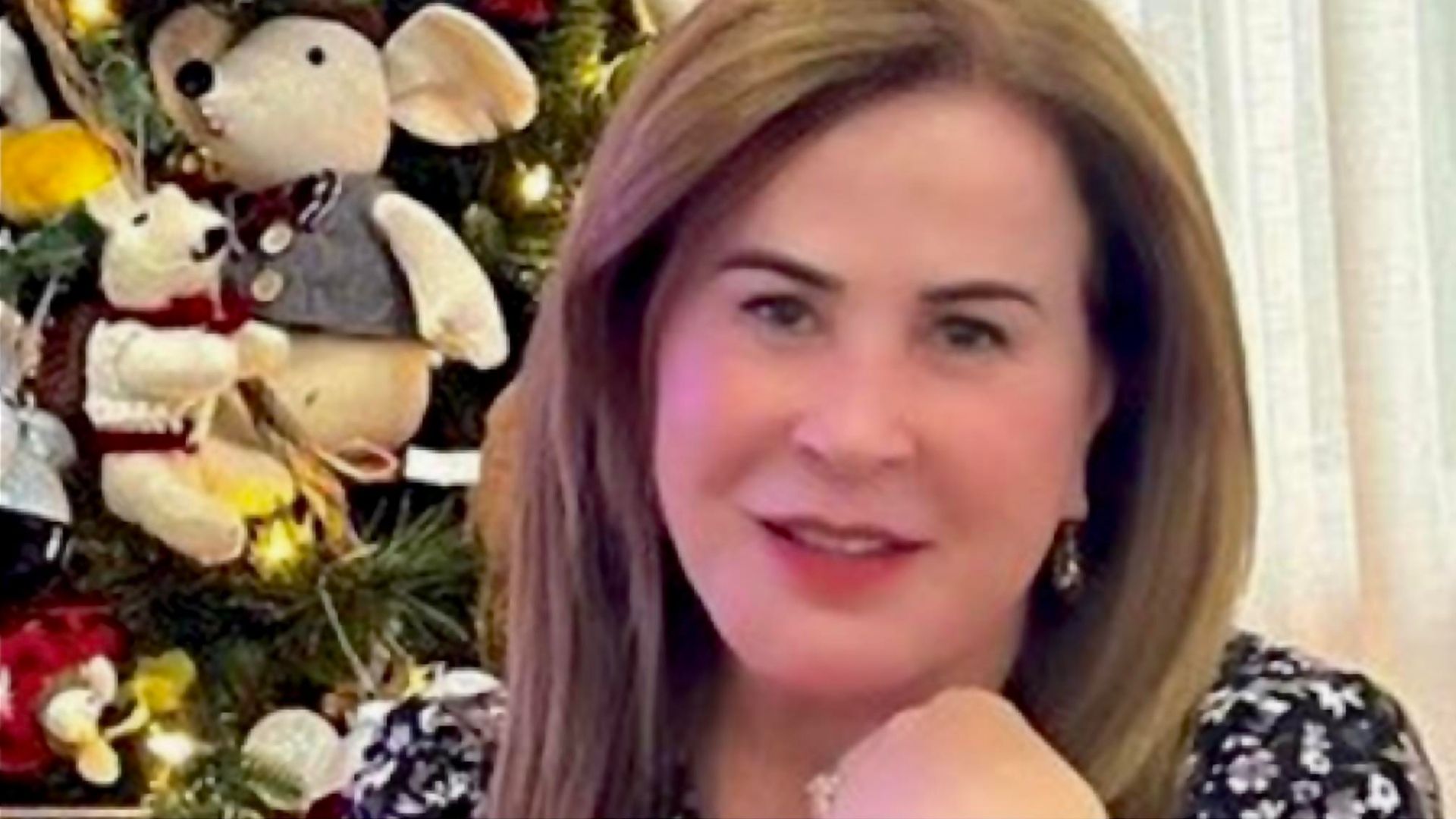 Zilu Camargo não dispensa luxo e mostra árvore de Natal super decorada: “Perfeita”